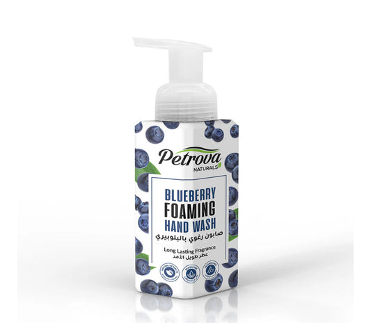 Blueberry Foaming Hand Wash